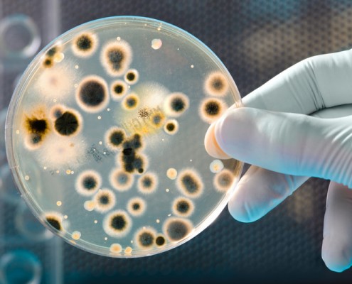 The ACT Science Test: Biology Basics