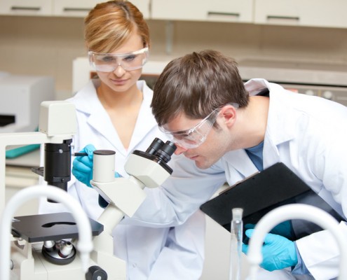 ACT Science: Strengthen Hypothesis