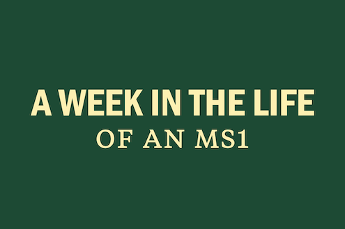 a-week-in-the-life-ms1