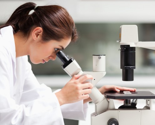 What's Tested on the TEAS: Science