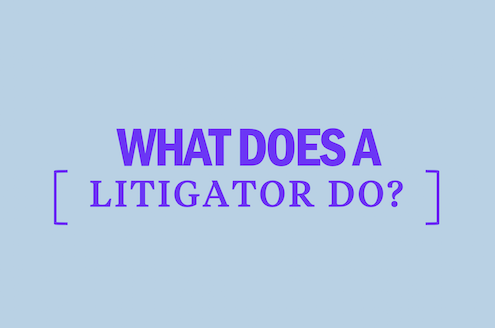 what-does-a-litigator-do