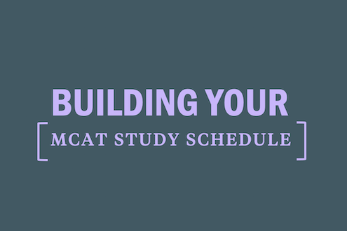 build-your-mcat-study-guide-schedule-plan-prep-tips