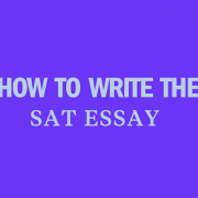 How To Save The Environment Speech Essay Examples