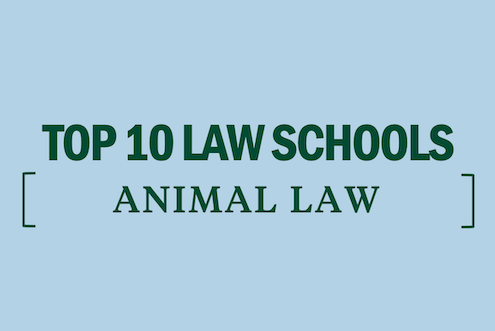 animal-law-top-10-law-schools-rankings