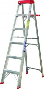 ladder