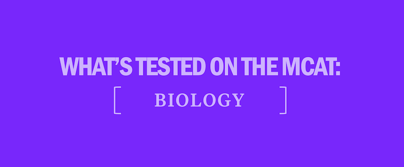 what's-tested-on-the-mcat-biology