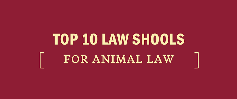 Top Law Schools for Animal Law