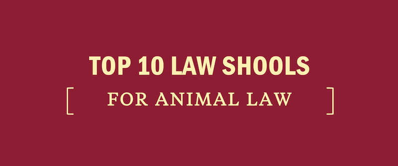 Top 10 Law School Animal Law Programs – Kaplan Test Prep Top 10 Law School Animal Law Programs – Kaplan Test Prep