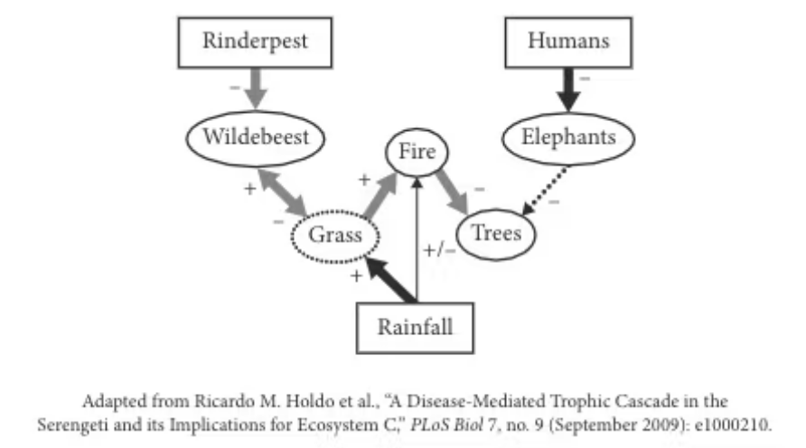 AP_Bio__2___Question_1_graph